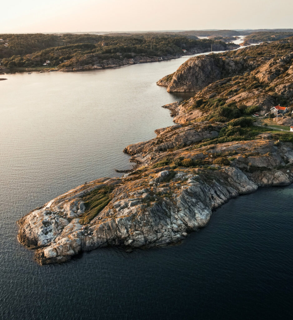 Enerpoly visual identity